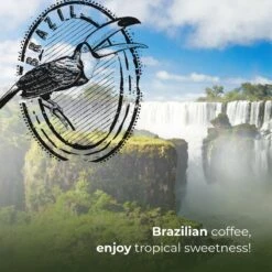 Soolong Enjoy Brazilie Nr4000 Koffiebonen Topacio Lungo - Speciality Koffie Arabica Medium Roast, Light Body Met Een Verfijnde Zacht Zoete Smaak. - Zak 250gram -Koffiedranken 1200x1200 182