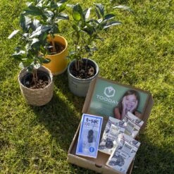 T-Sac Theefilters No.1 -Koffiedranken 1200x1200 327