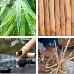 Relaxdays Theedoos 5 Vaks - Theekist - Theezakjeshouder - Bamboe - Voor Ca. 10 Theezakjes -Koffiedranken 1200x1200 352