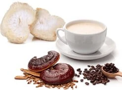 ToshiFarm Lion's Mane En Reishi Koffie - 250 Gram - Biologisch & Fair Trade - Verbetering In Concentratievermogen En Leervermogen - Filterkoffie Met Paddenstoel 17 ToshiFarm Lion's Mane En Reishi Koffie - 250 Gram - Biologisch & Fair Trade - Verbetering In Concentratievermogen En Leervermogen - Filterkoffie Met Paddenstoel -Koffiedranken 1200x884