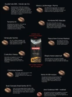 Catunambú Predilect Koffiebonen 1 Kilo - Premium Kwaliteit - Horecakoffie Voor Thuis - Ultiem Koffiegenot 9 Catunambú Predilect Koffiebonen 1 Kilo - Premium Kwaliteit - Horecakoffie Voor Thuis - Ultiem Koffiegenot -Koffiedranken 897x1200 1
